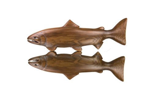 Bronze Oak Salmon